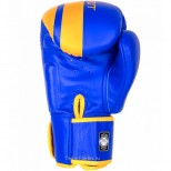 Боксерские перчатки Twins Special с рисунком (FBGV-43 blue-yellow)